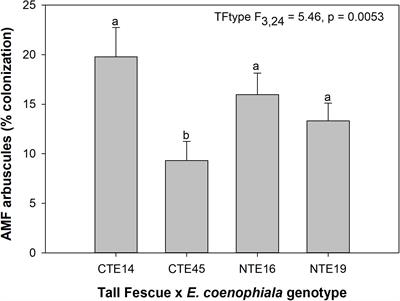 Tall Fescue and E. coenophiala Genetics Influence Root-Associated Soil Fungi in a Temperate Grassland